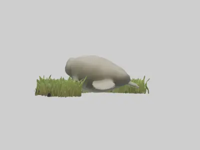 Dugong grazing seagrass model 3D model