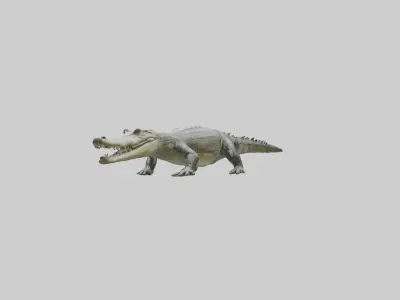 Philippine crocodile Low-poly 3D model