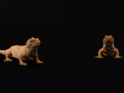 Tuatara Reptile Free 3D model