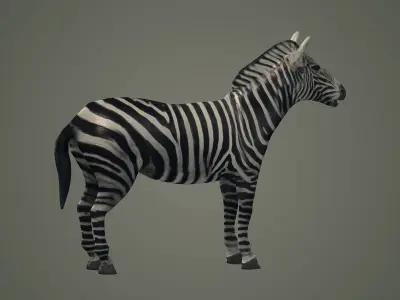animals animal zebra horse land mammals plains mammal 3D model