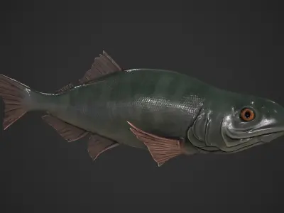 Freshwater Fish Low-poly 3D model