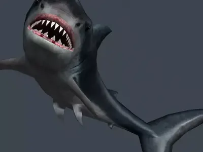 3DRT - Shark Jaws Pack Low-poly 3D model