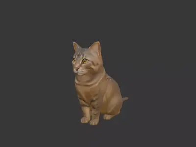 Cat Kitten 3D Scan Print 3D model