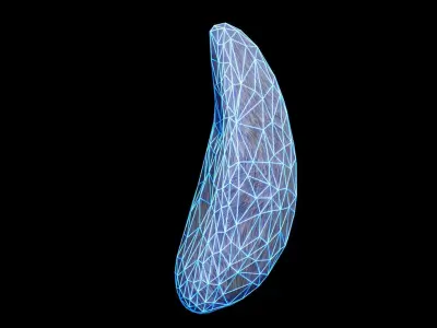 Bunny Tail for Final Fantasy XIV Low-poly 3D model