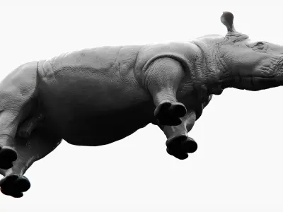 Rhino Sculpt 3D model