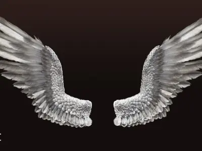 Pair of Bird Wings C4D  Low-poly 3D model
