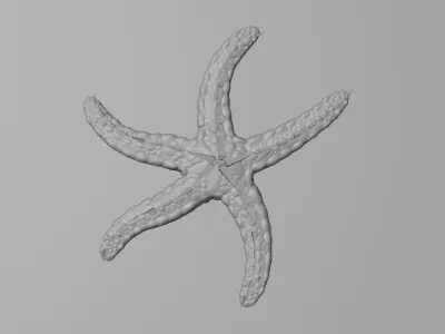 -Necklace Starfish V2 Rigged- 3D model