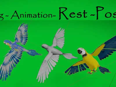 Macaw Ara Parrot Low-poly 3D model