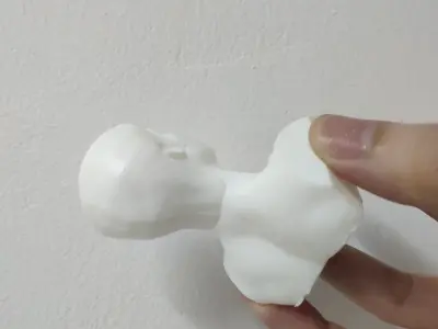 BRUCE LEE 3D Printable 3D print model