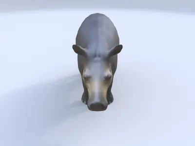 Tapir 3D model