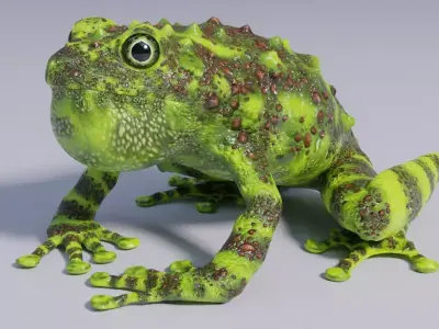 Vietnamese Mossy Frog Rigged Free low-poly 3D model