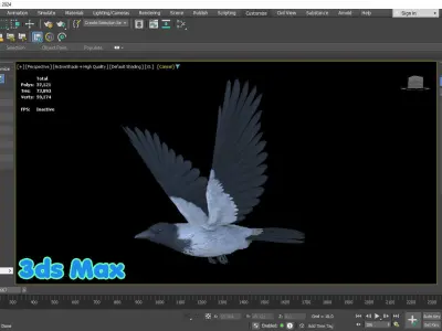 Realistic Animated Hooded Crow Low-poly 3D model