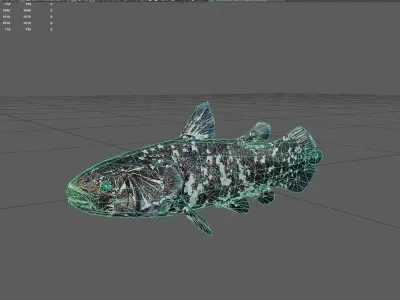 Coelacanth Low-poly 3D model