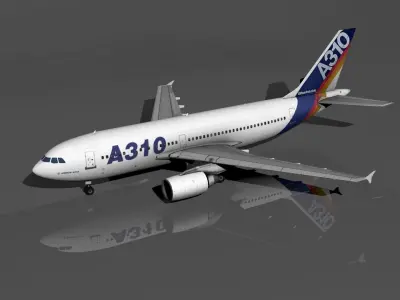A310-300 Low Polygon  Low-poly 3D model