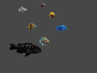 Tropical Fishes Set six piece Low Poly Free low-poly 3D model