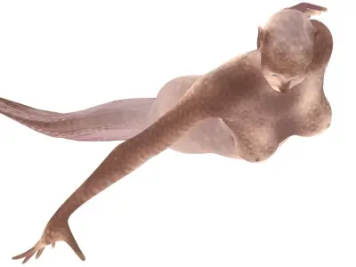 Mermaid Low-poly 3D model