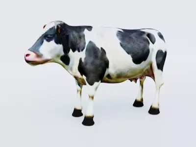 Cow Animal Free 3D model