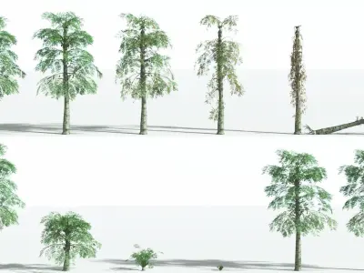 EVERYPlant Alethopteris Seed Fern 1 --12 Models-- 3D model