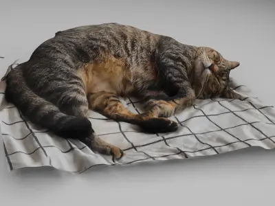 sleeping Cat Low-poly 3D model