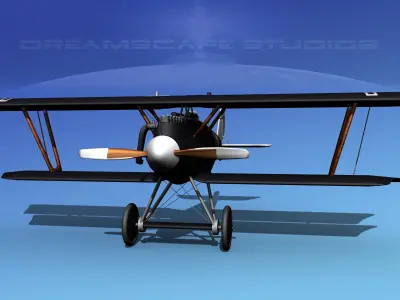 Pfalz DIII Historic Fighter V12 3D model