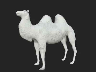 Camel Low-poly Low-poly 3D model