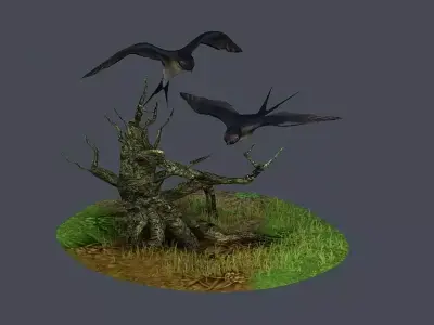 Swallow Wild Goose Eagle bird 3D model