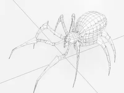 Spider 3d model with legs Low-poly 3D model