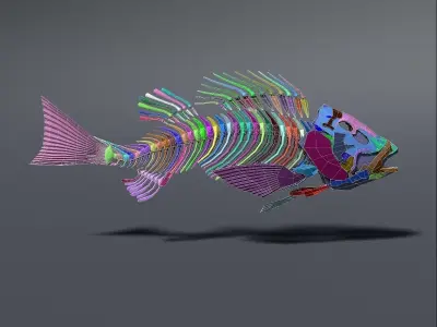 Perch fish skeleton Low-poly 3D model