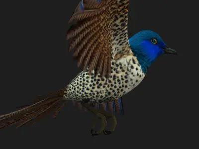 PheasantBird B2 3D model