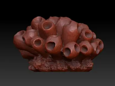 Sea Coral Scan 5 3D model