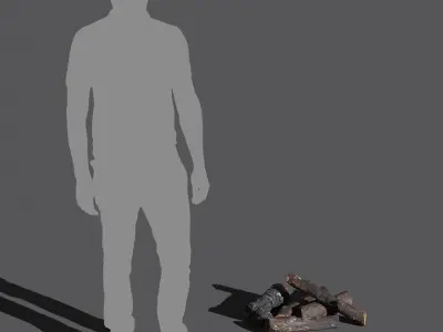  Fully Burned Natural Firewood Models Collection 