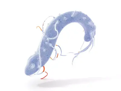 Vibrant Oceanic Creature model pack Low-poly 3D model