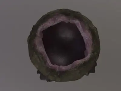 Alien Egg Rigged Low-poly 3D model