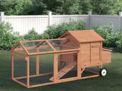 Bayer Feet Chicken Coop -Chicken Run 3D model