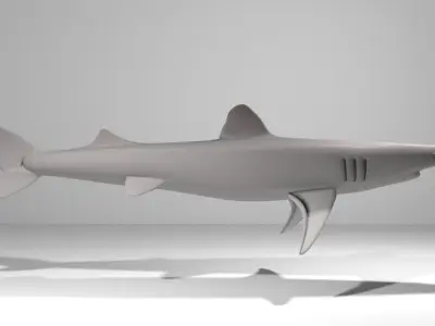 Shark - Piked 3D model