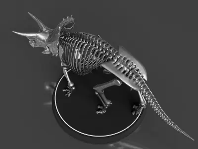 Silver Triceratops Skeleton for Visualization 3D model