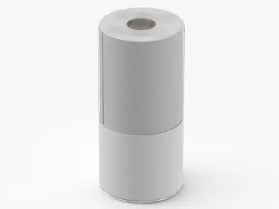 Paper Towels Single Blank and Generic Label 3D model