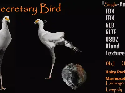 Secretary Bird Low-poly 3D model