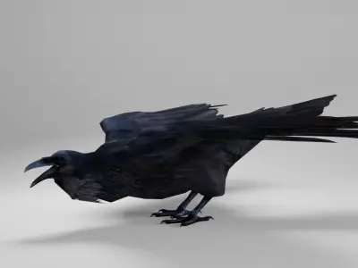 Raven Low-poly 3D model