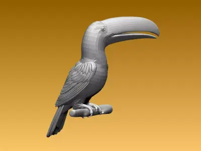 tucan toucan bird 3D model