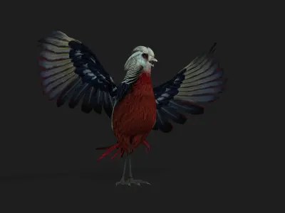 Pheasant A2 3D model