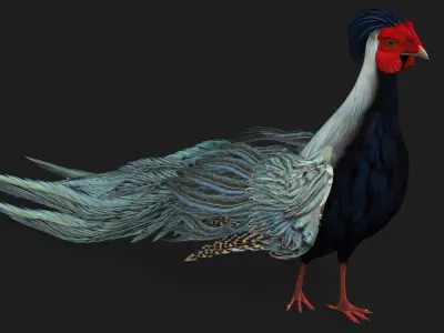 White Pheasant-A2 3D model