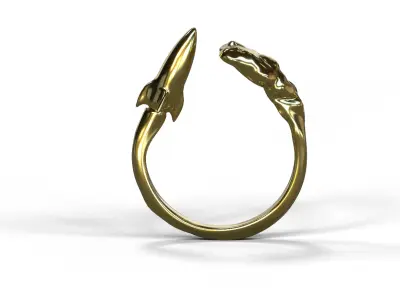 High-Quality 3D Ring Jet Model Low-poly 3D model