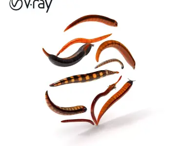 Realistic Insect Worm Model Pack for Animation and Gaming Low-poly 3D model