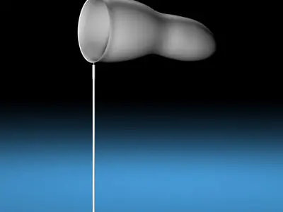 Butterfly net 3D model