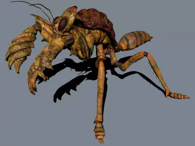 The mole mantis Low-poly 3D model