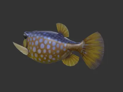 Bo Hom  Low-poly 3D model