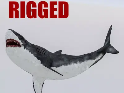 3D Rigged Shark Model Low-poly 3D model