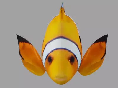 Clownfish OBJ and Blender 3D model