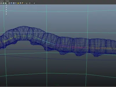 insect  worm Cordyceps 3D model